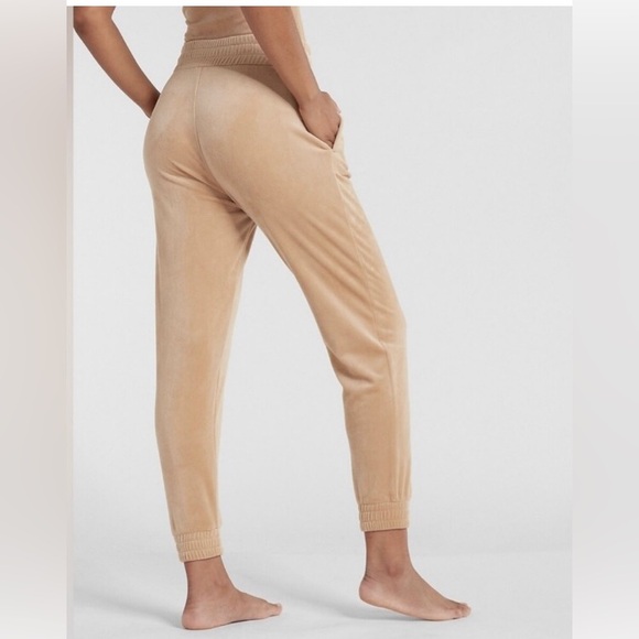 EXPRESS High Waisted Velour Joggers Size Medium - Picture 2 of 6